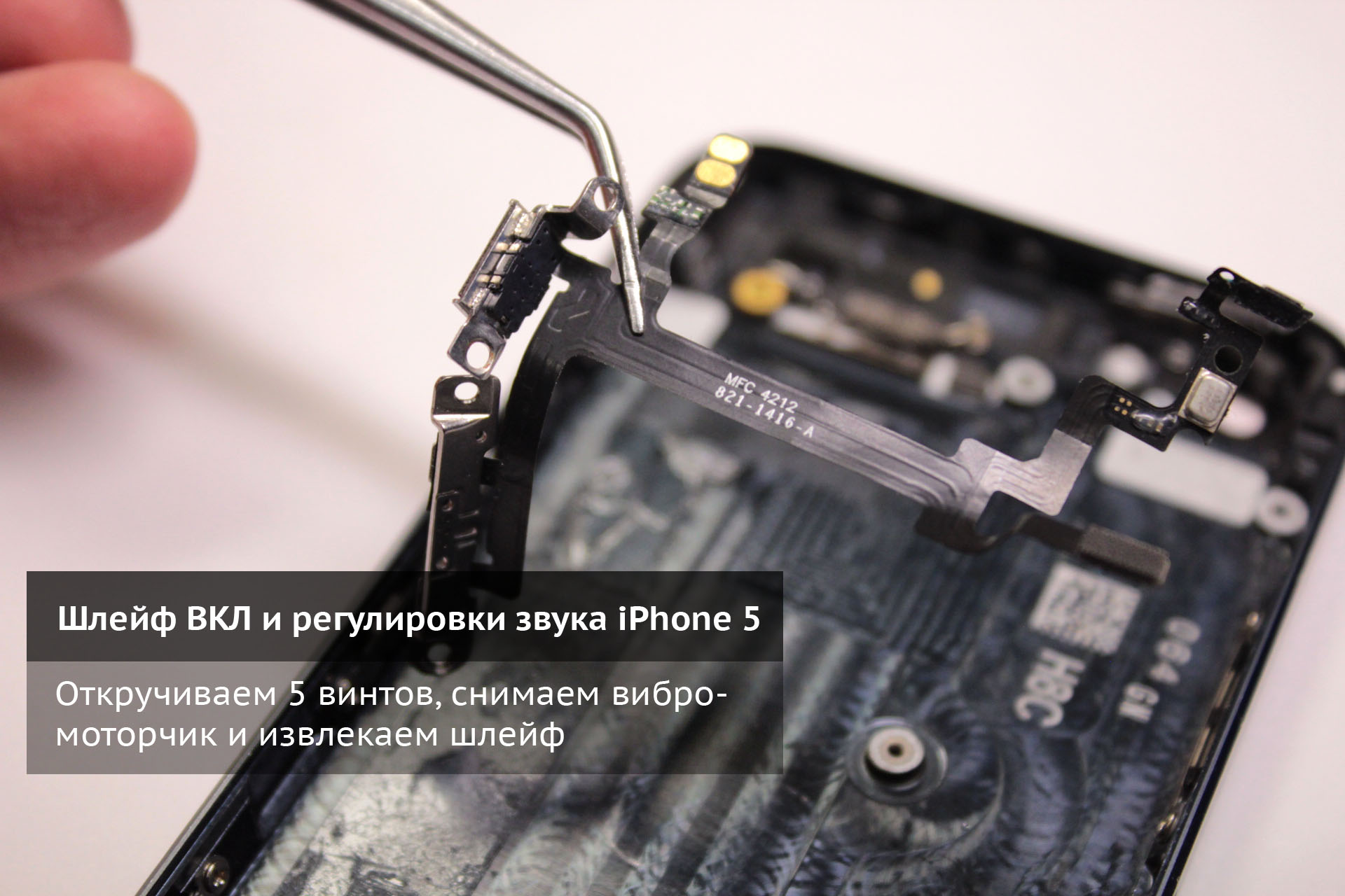 Откручиваем винты и достаем шлейф регулировки звука и кнопки включения iPhone 5