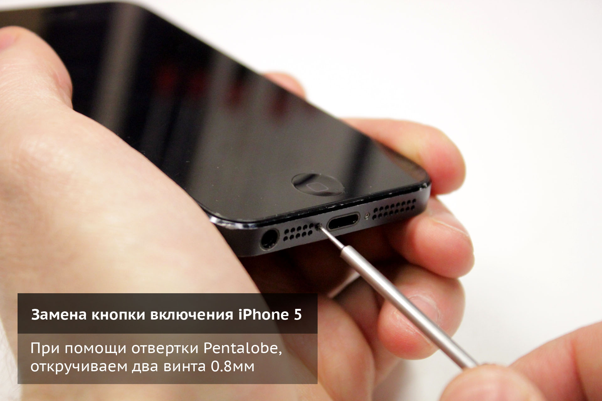 Откручиваем винты Pentalobe крепящие экран iPhone 5